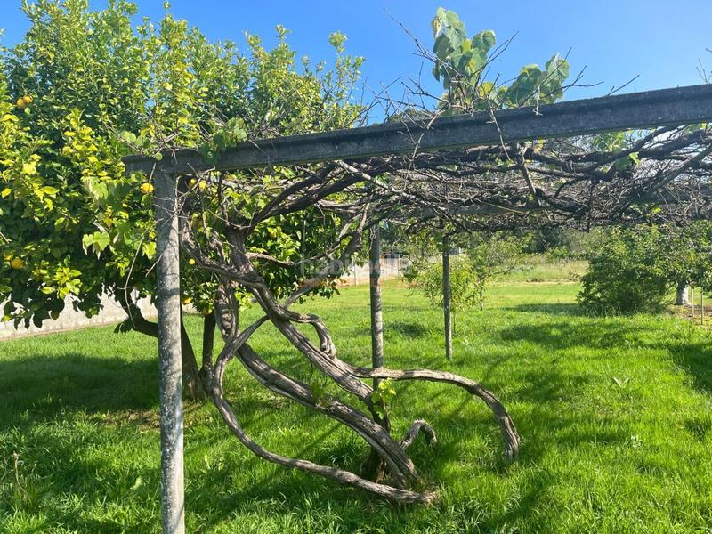 Foto 8ec4838b-95c5-44ed-94b6-1005884c5182. Terreny residencial a O Feal - Xubia Narón