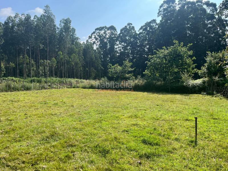 Foto 513f9528-20c0-49b8-86a5-9f1c548982ed. Residential plot in O Feal - Xubia Narón