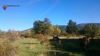 Propriété à Sotosalbos. Finca rúst. en venta en sotosalbos.