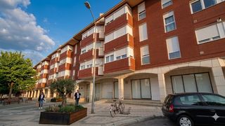Pis  C labrador. Piso  palencia av. valladolid