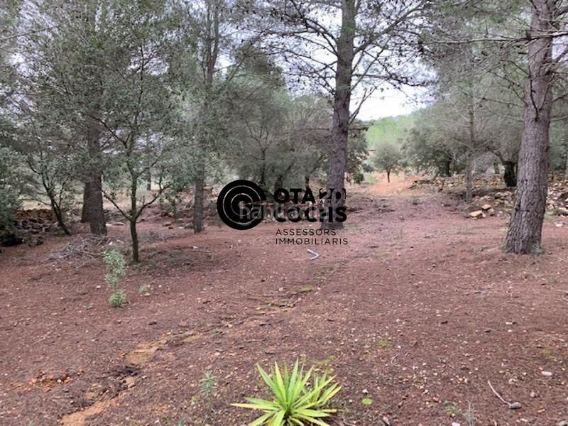 Foto 0bdfc422-edfb-4d8e-bb18-056e983644c2. Landgut in camí de l'aleixar 18 in Aleixar (L´)