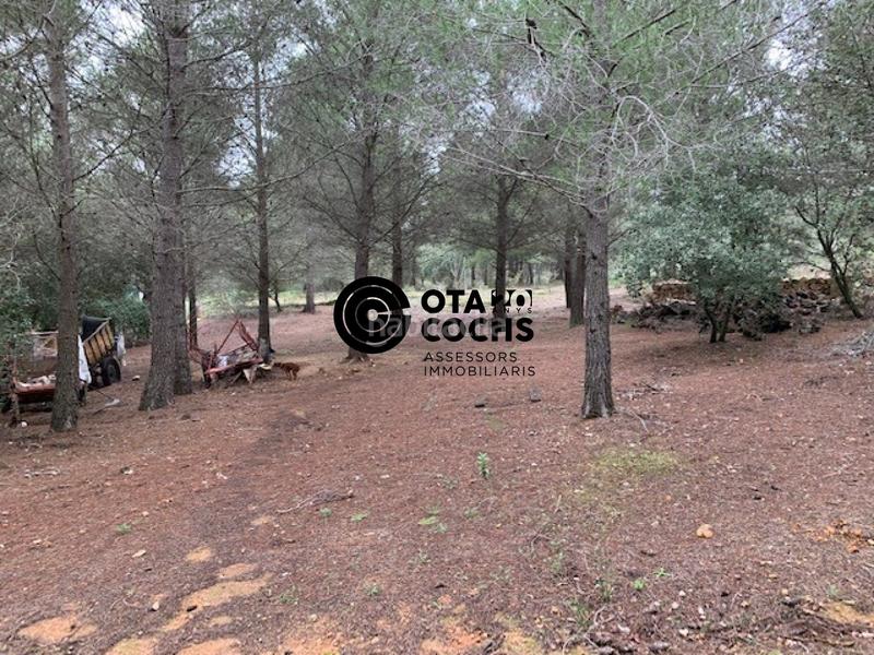 Foto ab1ba273-8e1d-45e1-a34f-2215835a1fce. Landgut in camí de l'aleixar 18 in Aleixar (L´)