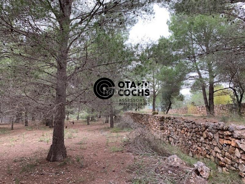 Foto c5e1959b-4899-4f23-9bb7-ee5dc33b2de0. Landgut in camí de l'aleixar 18 in Aleixar (L´)