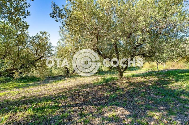 Foto 1ca40ee8-1c1f-411a-a336-5a38cc8b1b04. Masia a Mestral Reus