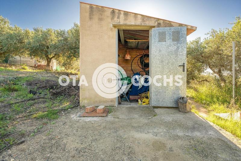 Foto 232b7747-ab66-4669-831a-920be9db7aae. Masia a Mestral Reus