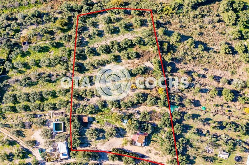 Foto 4d2b71d0-02b4-4776-94ef-6143ee56a100. Masia a Mestral Reus