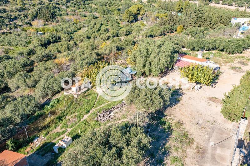 Foto 58a7fa02-73cb-49f0-a4a9-a8fa80ee0294. Masia a Mestral Reus