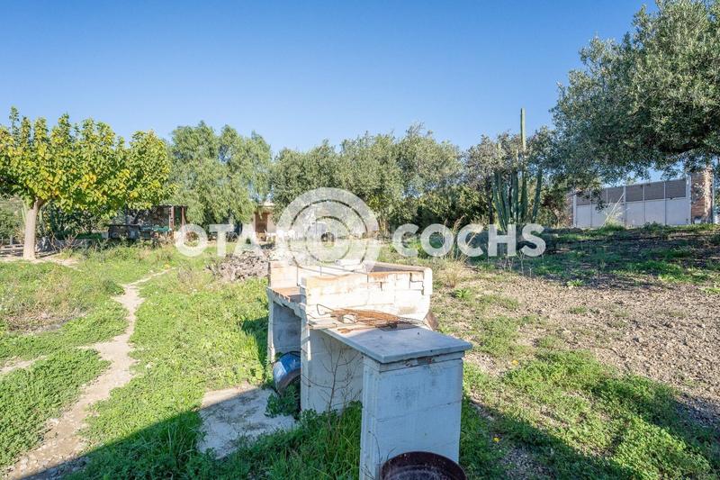 Foto 5b460c6a-4edf-4353-8d1a-7cc3e6cdf07a. Masia a Mestral Reus