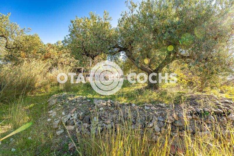 Foto 7e31936c-d042-4747-812b-2c53502346f1. Masia a Mestral Reus