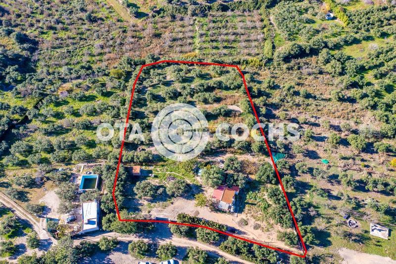 Foto a942062b-bf00-495b-8563-6ce312e28b0b. Masia a Mestral Reus