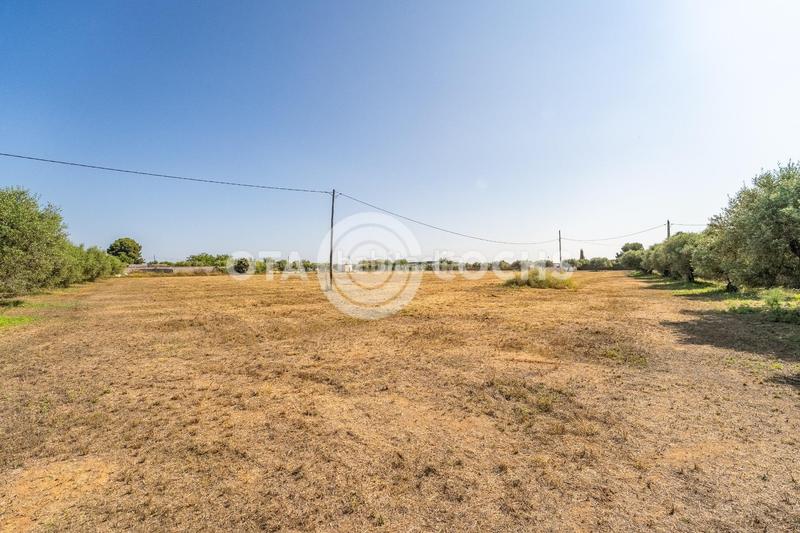 Foto 1f263221-84c2-4d8b-8fe1-4464dedaf359. Xalet amb aparcament a Llevant Reus