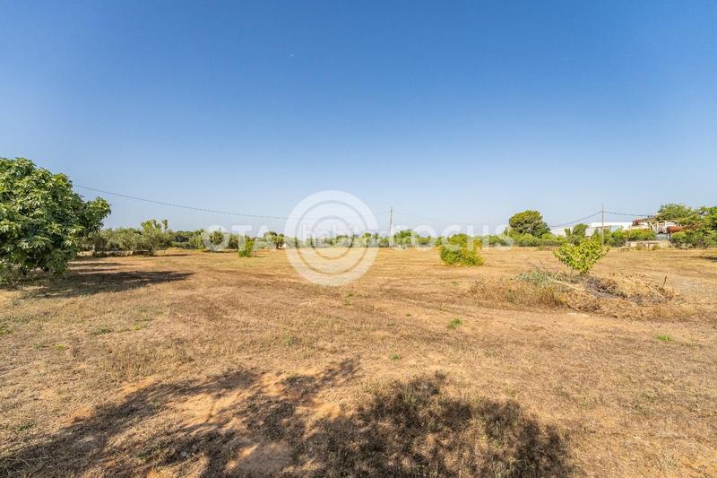 Foto 64f629d5-e7cf-4b95-8054-82257af96ec5. Xalet amb aparcament a Llevant Reus