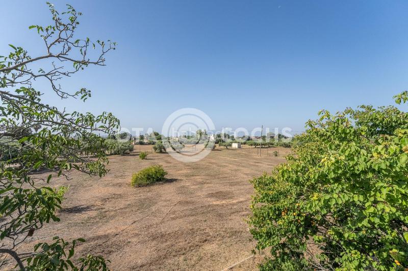 Foto 9a8babc2-018e-4792-8f7e-79a0a4fb5ae4. Xalet amb aparcament a Llevant Reus