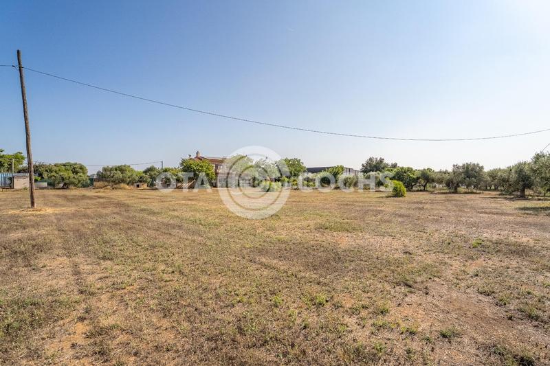 Foto a3b28bd4-46a4-4f10-9f00-4a473dad4bd0. Xalet amb aparcament a Llevant Reus