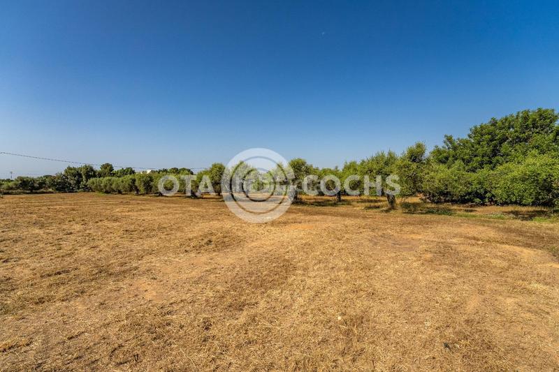 Foto b0dade70-8c66-45bb-bb10-64fb75bd1340. Xalet amb aparcament a Llevant Reus
