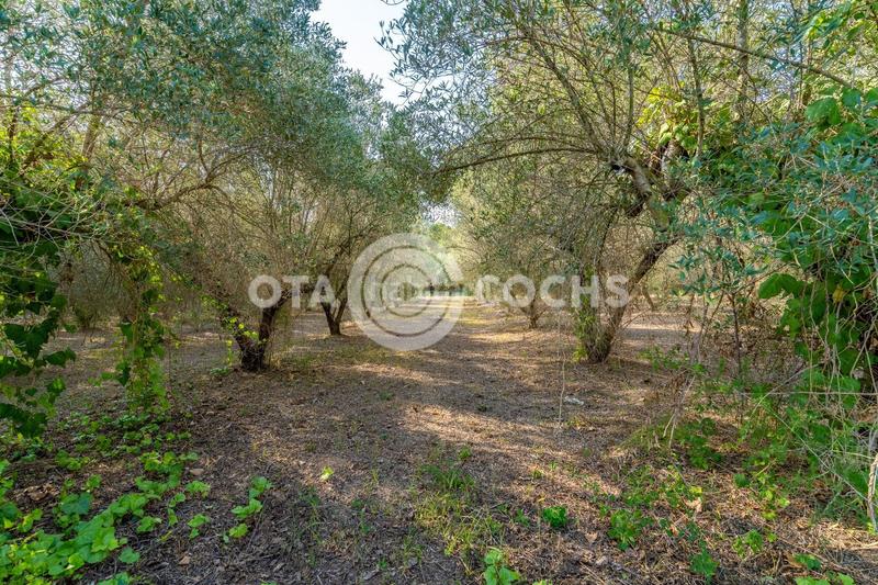 Foto 3047585d-4f30-4e64-a517-cd31165d522e. Casale con riscaldamento parcheggio in Llevant Reus