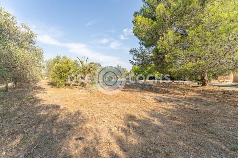 Foto 43ad3156-8b3a-44ef-b537-6beec22a461c. Casale con riscaldamento parcheggio in Llevant Reus