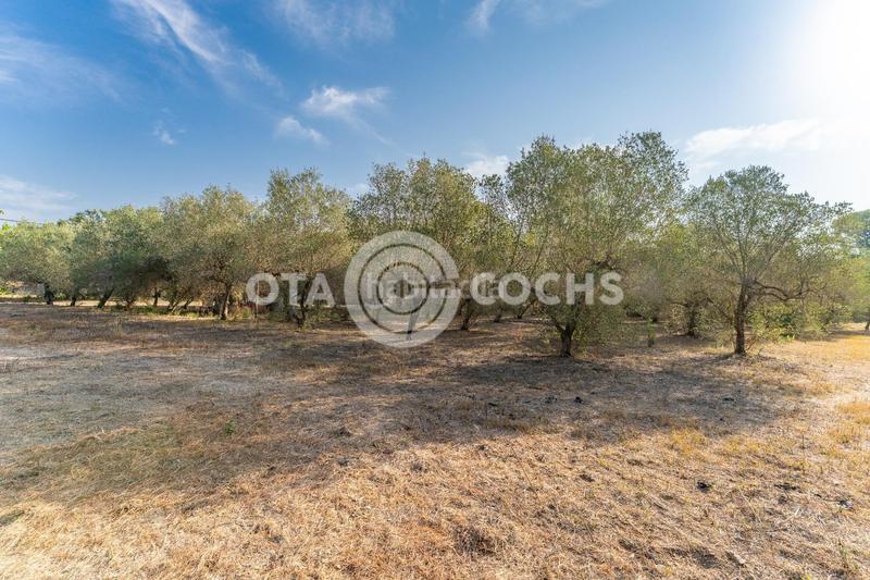 Foto f2d0c943-d31f-41fa-8e24-2ad54f680b57. Casale con riscaldamento parcheggio in Llevant Reus