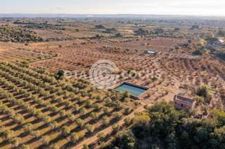 Mas  Polígono 5 parcela 65 estries. castellvell del ca. Fincas rusticas en castellvell del camp