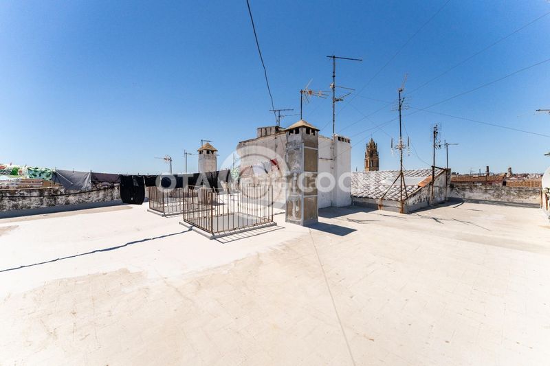 Foto 2a0b96e8-4264-45e9-bdb6-806f59eb1036. Pis a Centre Reus