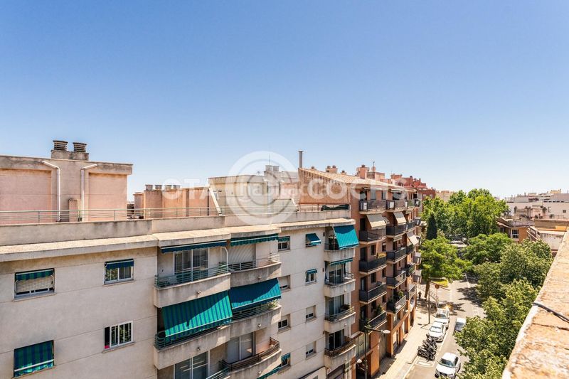 Foto dee35972-e7e6-4a20-b6a3-9cd55b22f43e. Pis a Centre Reus