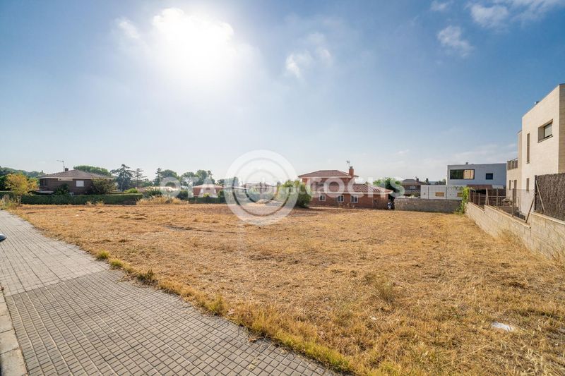Foto f7584010-f56f-4d72-aabb-5185cb3a81bc. Terreny residencial a Almoster
