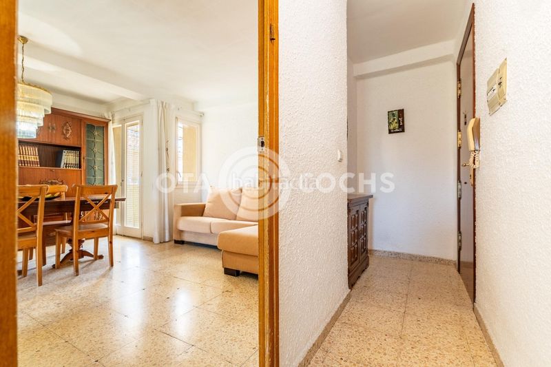 Foto 9c9abed1-7e0a-4e31-acbd-e7c09b263abf. Pis a Mestral Reus