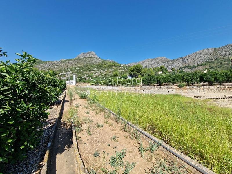 Foto ce019a8d-6a85-442c-9445-8efee25a9d74. Fondo rustico in Tormos