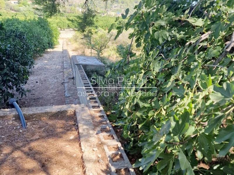 Foto f93db993-58c9-44ab-8dae-513dc7cc67ee. Fondo rustico in Tormos