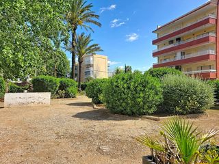 Apartament  Carretera de les marines a dénia 197. Apartamento en venta en la playa de las marinas de denia
