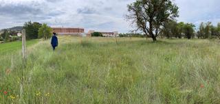 Terreno residenziale in Camino del matadero 1