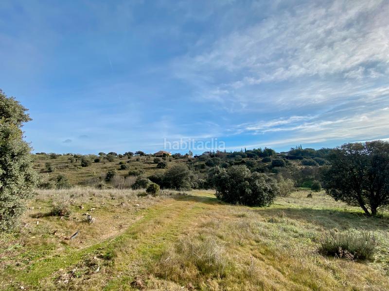 Foto abbcaf30-4248-4a03-b6cc-62202386a35b. Fondo rustico in Mojadillas-Parque de las Infantas-El Paraiso Valdemorillo