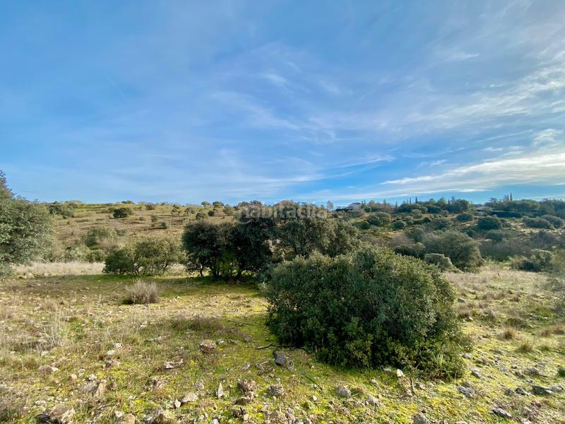 Foto 001cd9d7-3caf-41b6-80e3-39068108d5c5. Landgut in Mojadillas-Parque de las Infantas-El Paraiso Valdemorillo