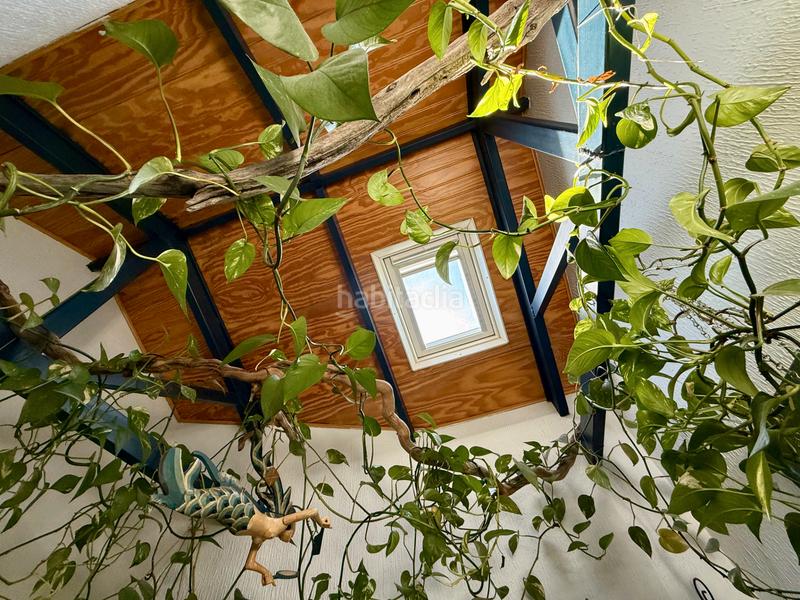 Foto 7a7b77be-d5f1-43c3-a8c0-f584b759f0b1. Pis amb calefacció a Casco Antiguo Galapagar