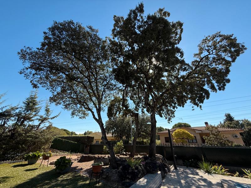 Foto 91f9713f-ed82-45ac-baff-3c18bcd0c6d3. Chalet en Cerro Alarcón Valdemorillo