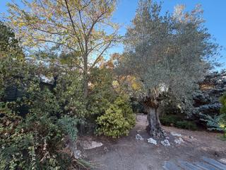 Chalet in La Canaleja