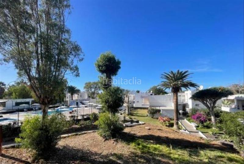 Foto 0cf61656-c950-46b6-a9c6-a5400bd0b5c6. Monolocale in Costa del Silencio Arona