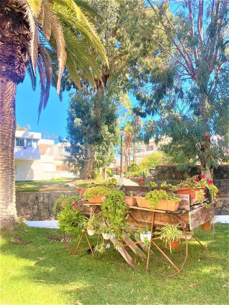 Foto e085166f-46a6-4522-a29d-e4adee965d83. Monolocale in Costa del Silencio Arona