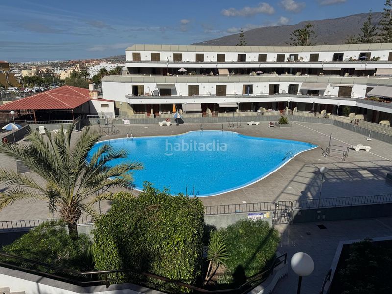 Foto 5b957862-4689-4f1d-bc5d-6e5bc345f2af. Studio avec piscine dans Torviscas Centro y Alto Adeje