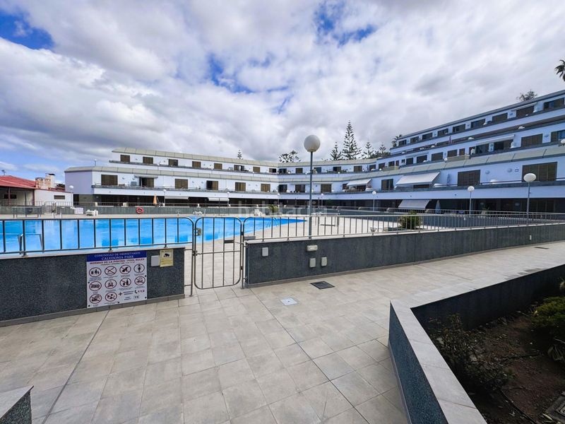 Foto b8294a47-08f7-49fb-bd2b-6a3507c54448. Studio avec piscine dans Torviscas Centro y Alto Adeje