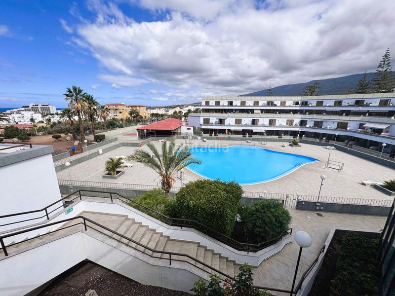 Foto e3cf27dc-2e1c-4d84-98d8-79e32617a35b. Studio avec piscine dans Torviscas Centro y Alto Adeje