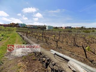 Masa  Salto del gato. Finca rst. en venta en carretera general sauzal.