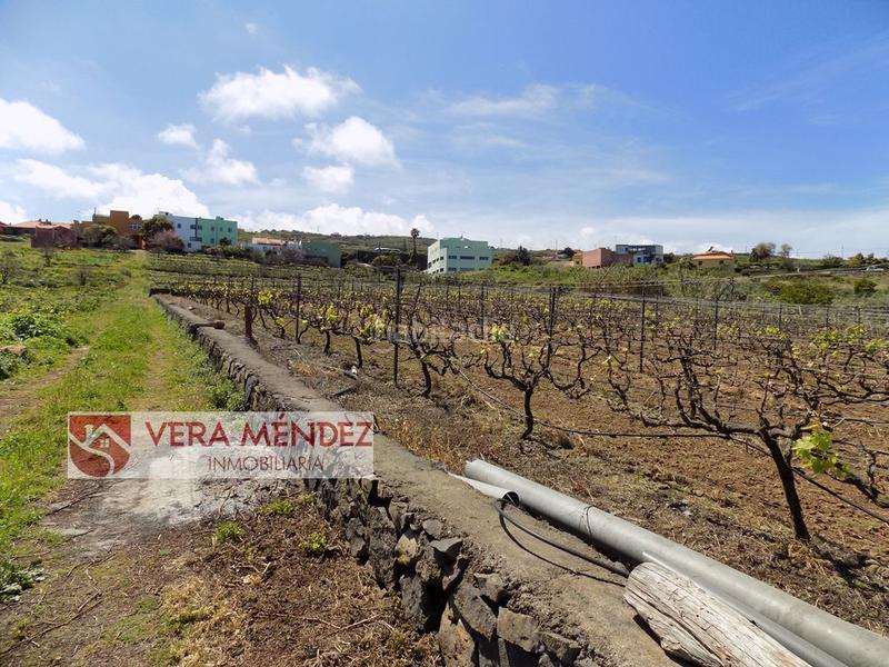 Foto a7a7bc19-35d4-407a-bd90-c4a2b130eb44. Masía finca rúst. en venta en carretera general sauzal. en Sauzal (El)