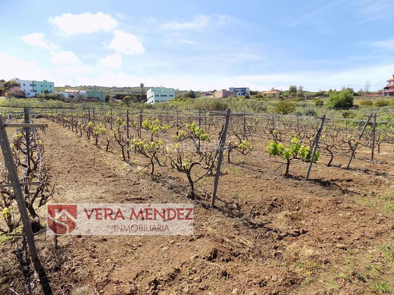 Foto d88a5b80-3af4-423c-aa3c-f29b8d0f5ced. Masía finca rúst. en venta en carretera general sauzal. en Sauzal (El)
