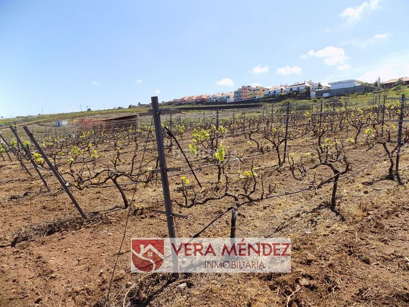 Foto e46baed9-3b93-451e-af50-ad5bb5c81140. Masía finca rúst. en venta en carretera general sauzal. en Sauzal (El)