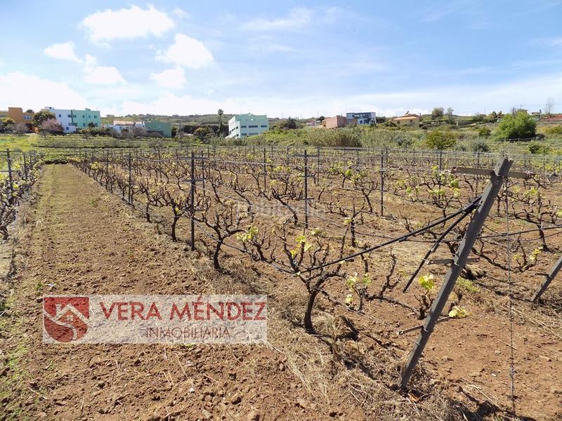 Foto efe92218-5604-4154-9dae-0111041a35a9. Masía finca rúst. en venta en carretera general sauzal. en Sauzal (El)