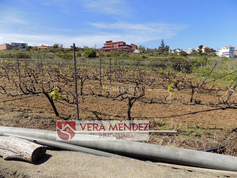Foto f2b41900-c3b4-4f91-a53c-7e836bb6caf9. Masía finca rúst. en venta en carretera general sauzal. en Sauzal (El)