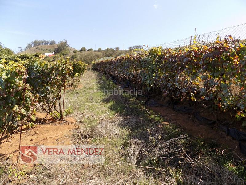 Foto 2d372b9c-d698-4e0a-8d01-f9d8227ed0c8. Mas dans Tacoronte - los naranjeros Tacoronte