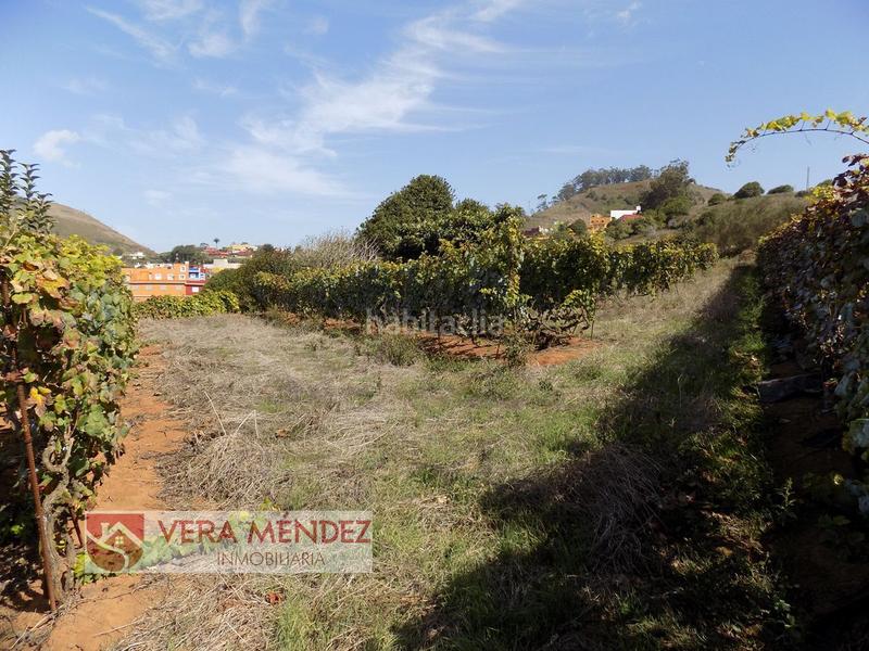 Foto 3a814c0a-e359-47f5-a81c-56d57fce0aad. Mas dans Tacoronte - los naranjeros Tacoronte