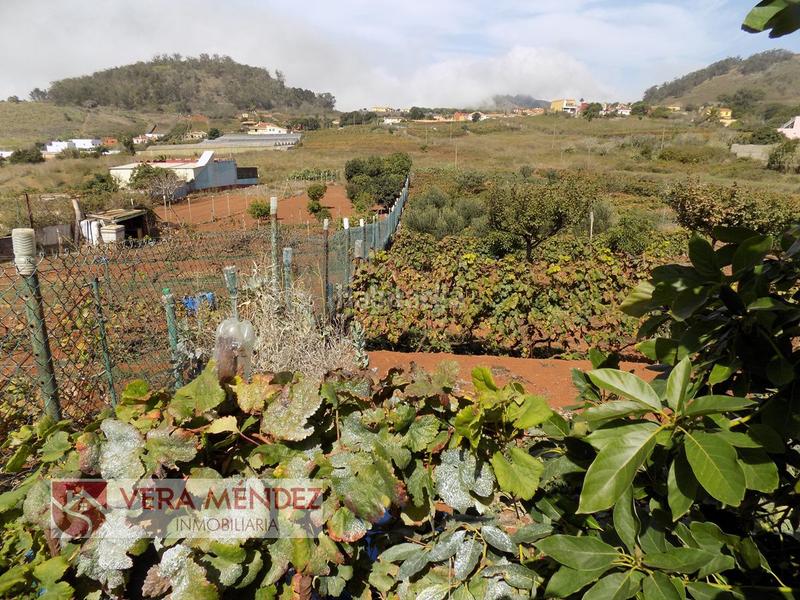 Foto 7c8160f5-7f7d-494b-afd1-c177966dc86d. Mas dans Tacoronte - los naranjeros Tacoronte